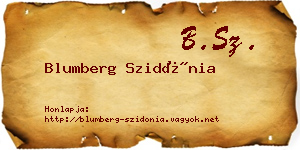 Blumberg Szidónia névjegykártya